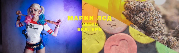 СК Богородицк