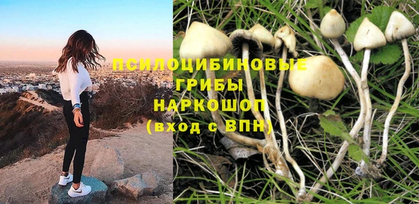 стаф Белоозёрский
