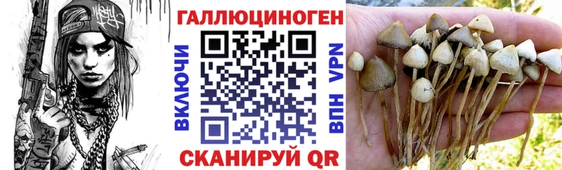 Псилоцибиновые грибы мицелий  Вельск 